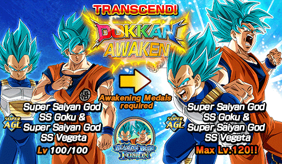 Blazing Blue Fusion Dokkan Info