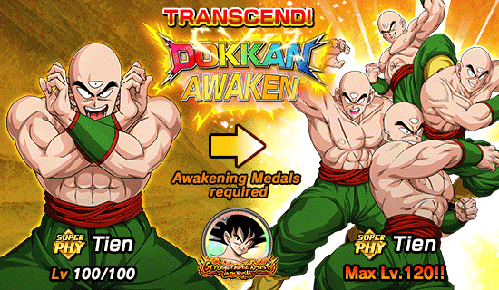 Strongest Martial Artist in the World Dokkan Info