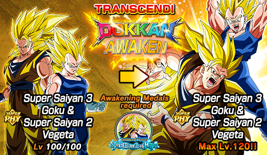 Radiance of Victory Spirit Bomb of Hope Dokkan Info