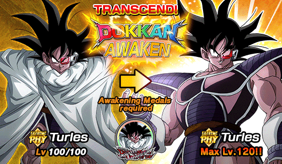 Dokkan Festival Is Now On Dokkan Info